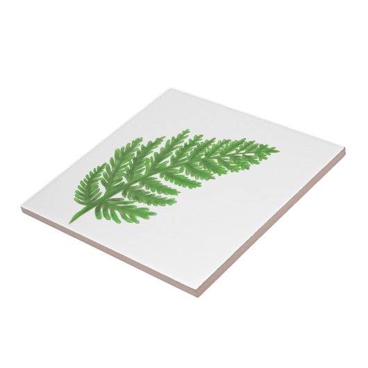 森林シダ タイル (側面)