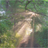 森林トレイル シール (正面)