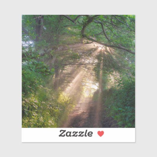 森林トレイル シール (シート)