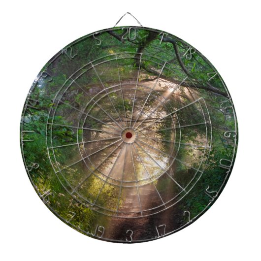 森林トレイル ダーツボード (正面)