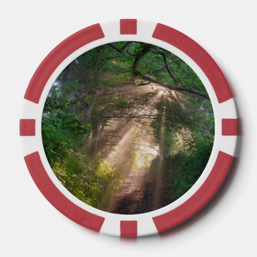 森林トレイル ポーカーチップ (正面)