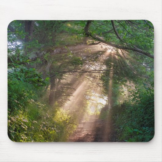 森林トレイル マウスパッド (正面)
