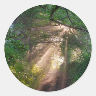 森林トレイル ラウンドシール