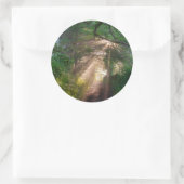 森林トレイル ラウンドシール (バッグ)