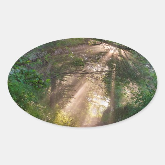 森林トレイル 楕円形シール (正面)