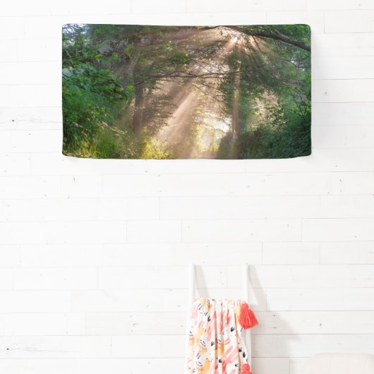 森林トレイル 横断幕 (インサイチュ)