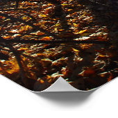 森林フィルターポスター ポスター (角)