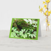 森林ブランクのメッセージカードのSarsasparilla カード (黄色い花)