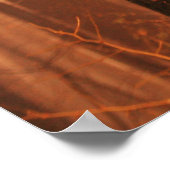 森林ポスターの霧 ポスター (角)