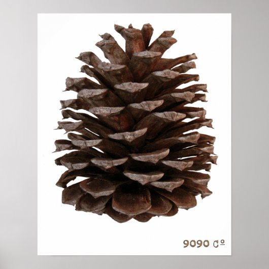 森林ポスター ポスター (正面)