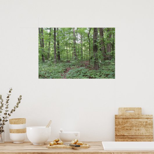 森林ポスター ポスター (キッチン)
