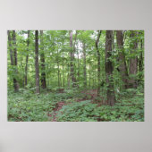森林ポスター ポスター (正面)
