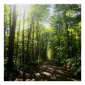 森林ポスター ポスター (正面)