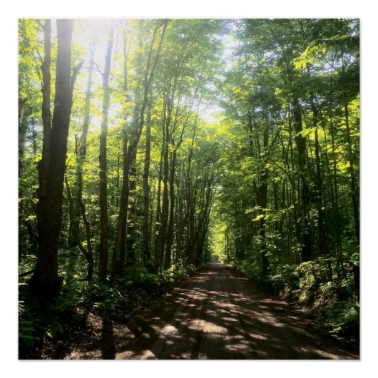 森林ポスター ポスター (正面)