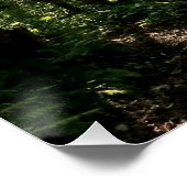 森林ポスター ポスター (コーナー)