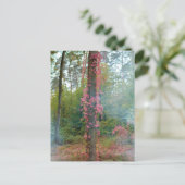 森林ムード – キャンバス印刷 ポストカード (スタンド正面)