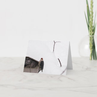 森林メッセージカードのキツツキ カード