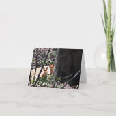 森林メッセージカードのキツネ カード (正面)