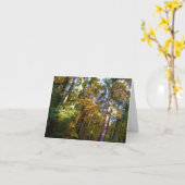 森林メッセージカードの秋の日光 カード (黄色い花)