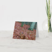 森林メッセージカードの雌ジカシカ カード (正面)