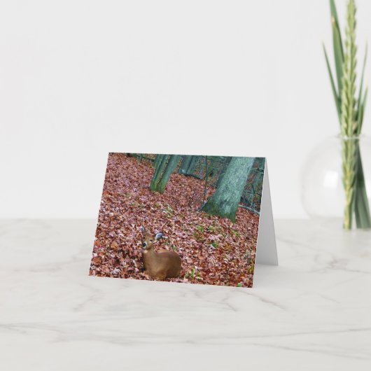 森林メッセージカードの雌ジカシカ カード (正面)