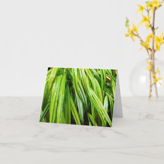 森林メッセージカード-日本のな森林草 カード (黄色い花)