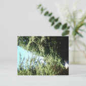 森林ロードモラン州パーク ポストカード (スタンド正面)