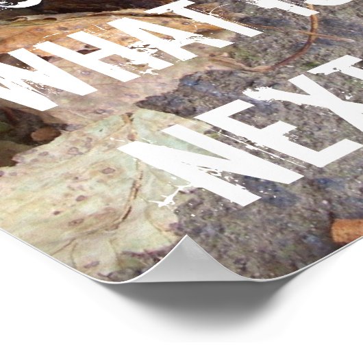 森林保全地球の気候変動 ポスター (角)