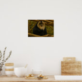 森林保護区の獅子尾のマカク ポスター (キッチン)