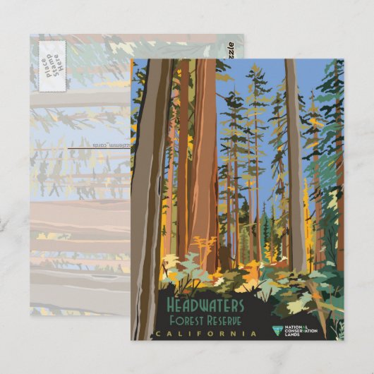 森林保護区 ポストカード (正面/裏面)