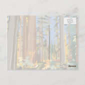 森林保護区 ポストカード (裏面)