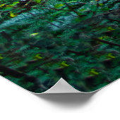 森林光自然撮影 ポスター (角)