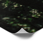 森林内の経路 ポスター (角)