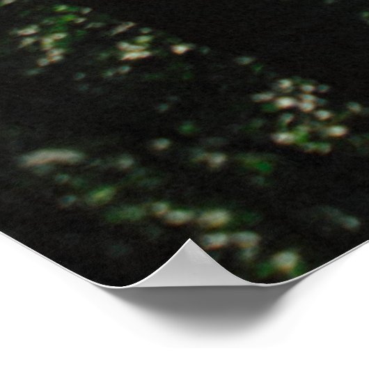 森林内の経路 ポスター (角)