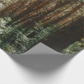 森林内の経路 ラッピングペーパー (角)