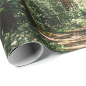 森林内の経路 ラッピングペーパー (ロールコーナー)