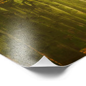 森林写真プリントの光のトンネル フォトプリント            (角)