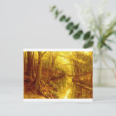 森林写真-8 ポストカード (スタンド正面)