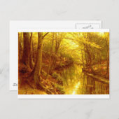 森林写真-8 ポストカード (正面/裏面)