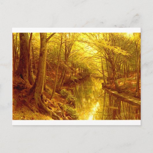 森林写真-8 ポストカード (正面)