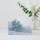 森林冬の自然写真 ポストカード (スタンド正面)