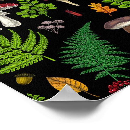 森林動植物 ポスター (角)