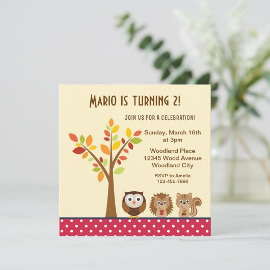 森林動物の子供の誕生会の招待 招待状 (スタンド正面)