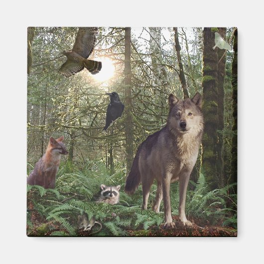 森林動物ギフト マグネット (正面)