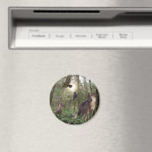 森林動物ギフト マグネット (インサイチュ (食洗機))