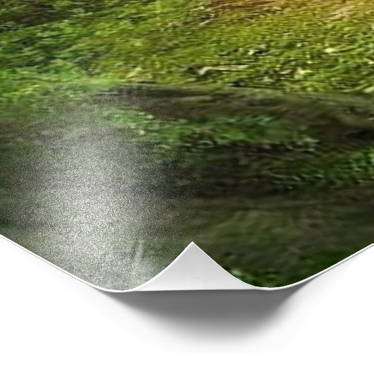 森林医学ホイールの写真の拡大 フォトプリント            (角)