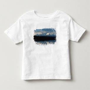 森林及びSnowy山とのmirror湖の地平線 トドラーTシャツ