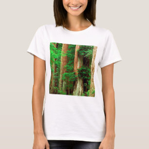 森林古代ジャイアンツ大きい盆地のレッドウッド公園 Tシャツ