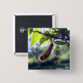 森林天幕毛虫1ボタン 缶バッジ (正面&裏面)