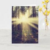 森林太陽光線 カード (黄色い花)